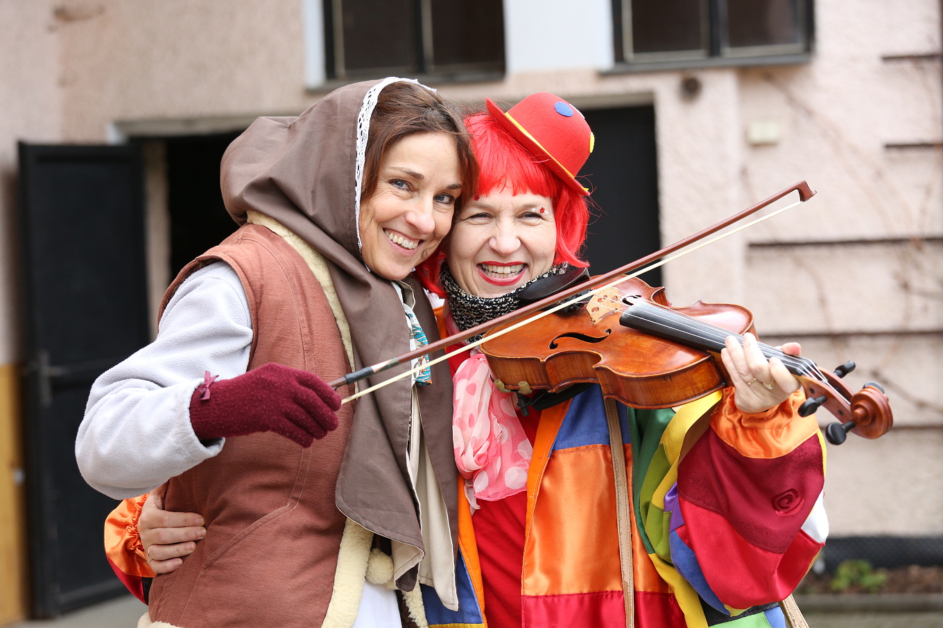 26_housle nebo viola