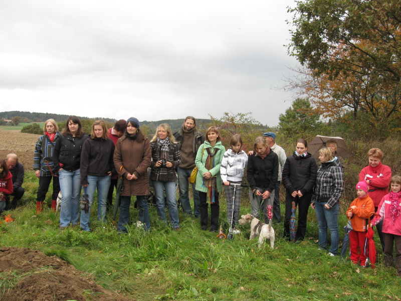 havelska lipa 016.jpg
