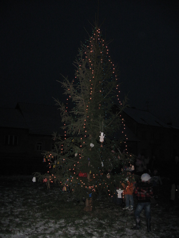 van dilnicky 2010 024